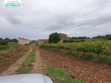 Finca Rústica en el Pla de Santa María de 37,5 Ha. con Masía