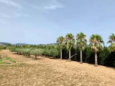 Palma de Mallorca finca en venta