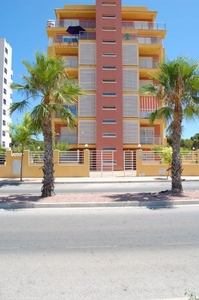 Alquiler de piso con piscina y terraza en Guardamar del Segura, Amarre