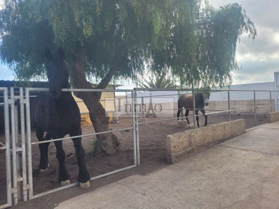 Chalet en venta en El Salto-Los Blanquitos, Granadilla de Abona