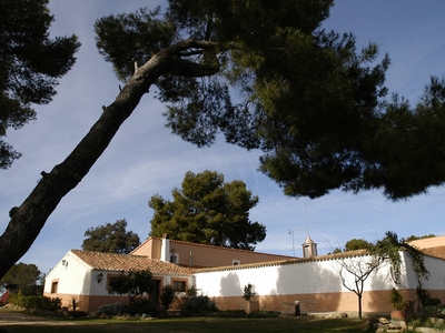 Finca rústica en venta en la Elche de la Sierra