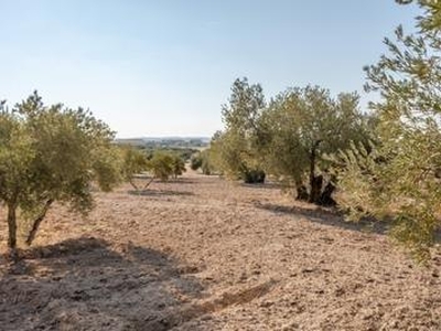 Terreno no urbanizable en venta en la Camino de la Malaha' Escúzar