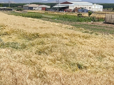 Terreno no urbanizable en venta en la Camino de Rijana' Chauchina