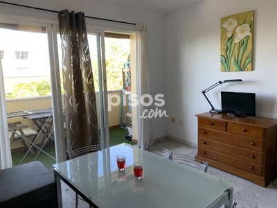 Apartamento en alquiler en Avenida de Asia, 89