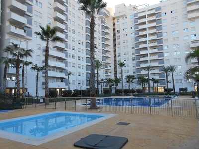 Alquiler de piso en avenida Nueva Condomina de 1 habitación con terraza y piscina
