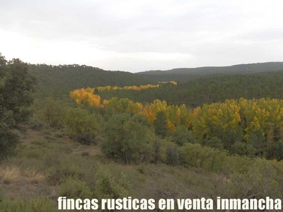 Terreno no urbanizable en venta en la Cuenca