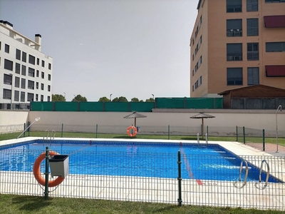 Estudio en alquiler en Larache con piscina y garaje