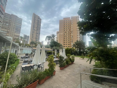 Apartamento en Venta en Benidorm Alicante