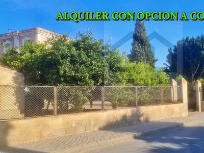 Finca rústica de alquiler en Beniel