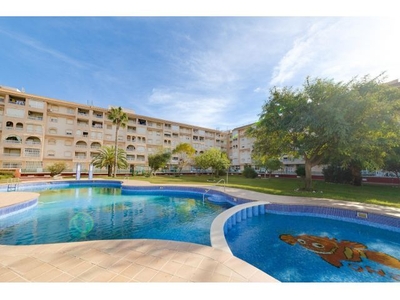 SE VENDE APARTAMENTO DE 2 DORMITORIOS PISCINA COMUNITARIA EN TORREVIEJA (ALICANTE)