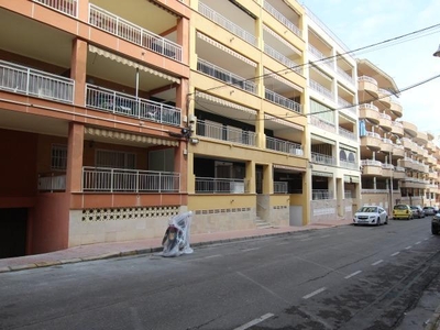 Alquiler de piso con terraza en Guardamar del Segura, PLAYA DE GUARDAMAR