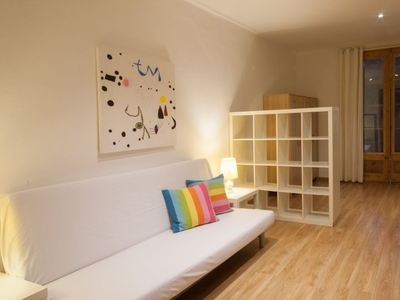 Amplio apartamento de 2 dormitorios en alquiler en Barri Gòtic
