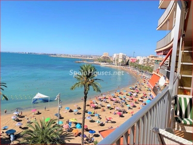 Apartment to rent in Playa del Cura, Torrevieja -