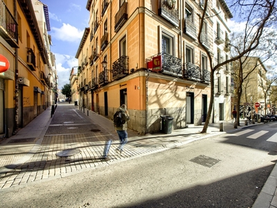 Piso en venta, Centro - Lavapiés, Madrid