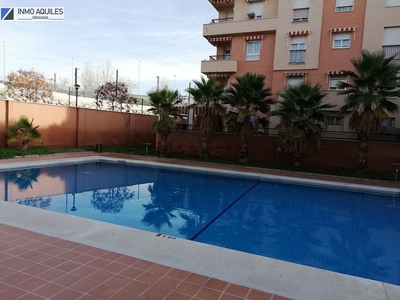 Alquiler de piso en Cerrillo de Maracena - Periodistas de 2 habitaciones con terraza y piscina