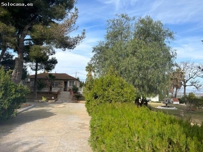 CHALET CON VISTAS AL DELTA Y GRAN PARCELA RODEADA DE ARBOLES