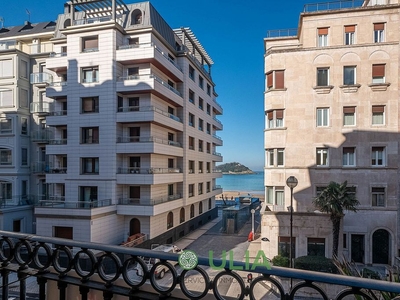 Piso en alquiler en Centro - San Sebastián-Donostia de 1 habitación con terraza y muebles