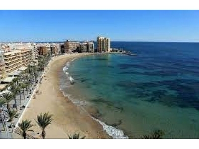 TA1091 2 bedroom apartment close to beach with a pool in Torrevieja