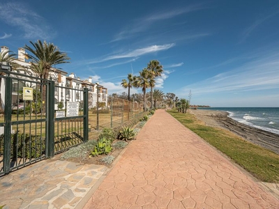Alquiler piso en alquiler apartamento en primera línea de playa en hacienda beach, en Estepona
