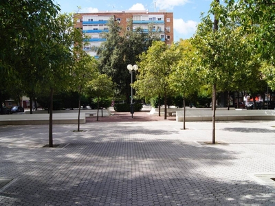 Piso de tres habitaciones primera planta, El Plantinar-El Juncal-Avenida de la Paz, Sevilla