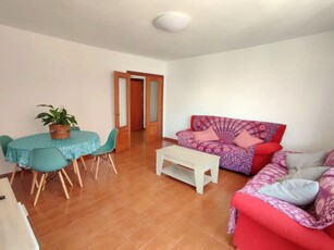 Habitación Individual en Calle Palmera de Zapillo 2