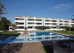 Apartament with pool at 150 metres from the beach.
