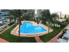 Apartamento en alquiler en Carrer de la Partida Rodona, 17