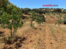 Venta Casa rústica Fuente Obejuna. 43 m²