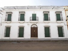 Venta Casa unifamiliar Puebla de La Calzada. 1151 m²