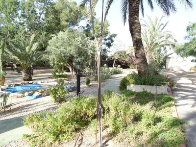 Casa ¡¡ chalet en venta con jardín, huerto, cochera y piscina propia en el Albujón !! en Cartagena