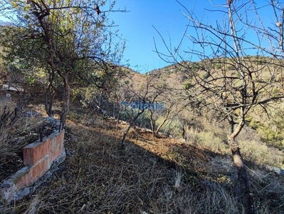 Casa mata en junta de los caminos, puerto de la torre. en Málaga