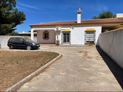 Venta de casa con piscina y terraza en Puerto Real, Carretera medina