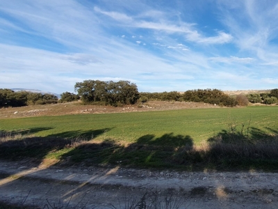 ESTUPENDA FINCA RUSTICA EN MORALEDA DE ZAFAYONA