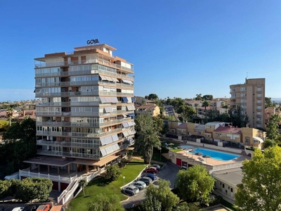 Venta Piso Alicante - Alacant. Piso de dos habitaciones Octava planta con terraza