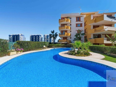 Venta Piso Torrevieja. Piso de dos habitaciones Planta baja con terraza