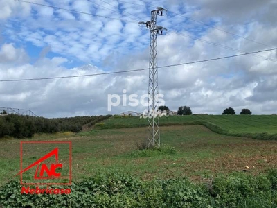 Finca rústica en venta en Las Cabezas de San Juan