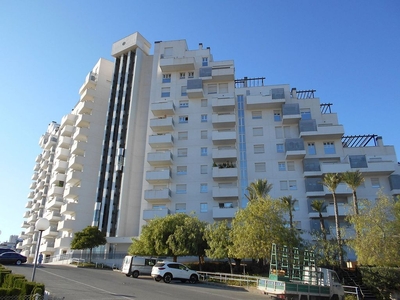 Alquiler de piso en Churra de 3 habitaciones con terraza y piscina