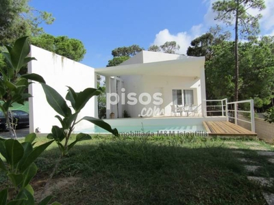 Chalet en venta en Avenida de las Palmeritas