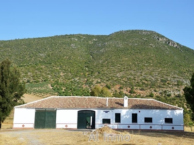 Finca/Casa Rural en venta en Algodonales, Cádiz