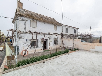 Finca/Casa Rural en venta en Fuente Vaqueros, Granada