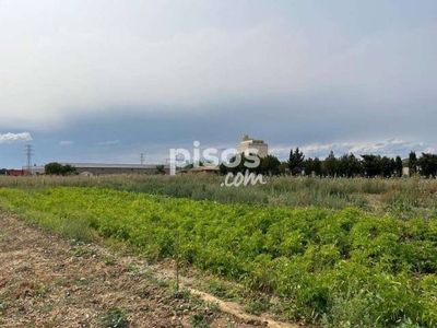 Finca rústica en alquiler en Santas Martas