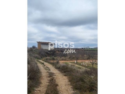 Finca rústica en venta en Montoliu de Lleida