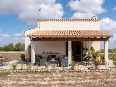Finca rústica en Algaida, Mallorca, de 44.903 m2 con casa de 62 m2.