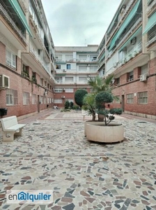 Alquiler piso terraza Campoamor-carolinas-altozano