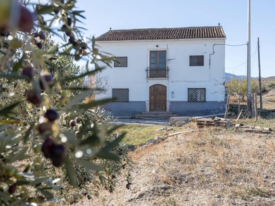 Finca/Casa Rural en venta en Baza, Granada