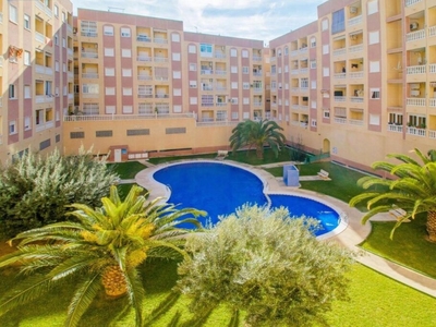 Espectacular Ático con una amplia terraza, piscina comunitaria y zonas verdes en Torrevieja