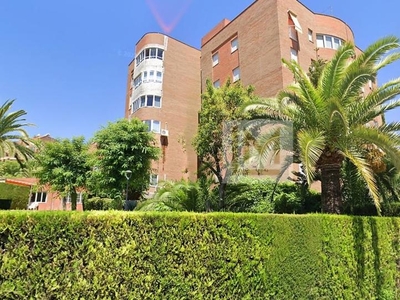 Apartamento de alquiler en C. Molino, 2-4, 2-4, Santa Eufemia