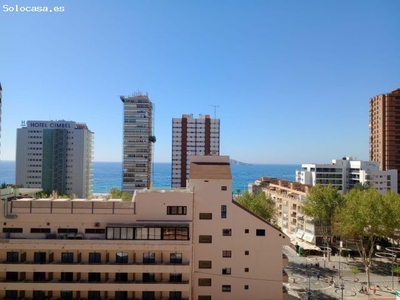 Acogedor apartamento a un paso de playa Levante y zona Centro de Benidorm
