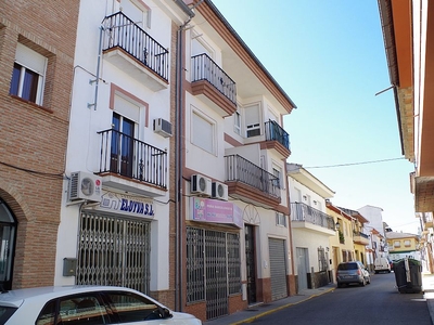 Piso en Fuente Vaqueros (Granada)