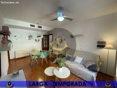 LT/ Bonito apartamento con UN dormitorio en zona Plaza de Toros